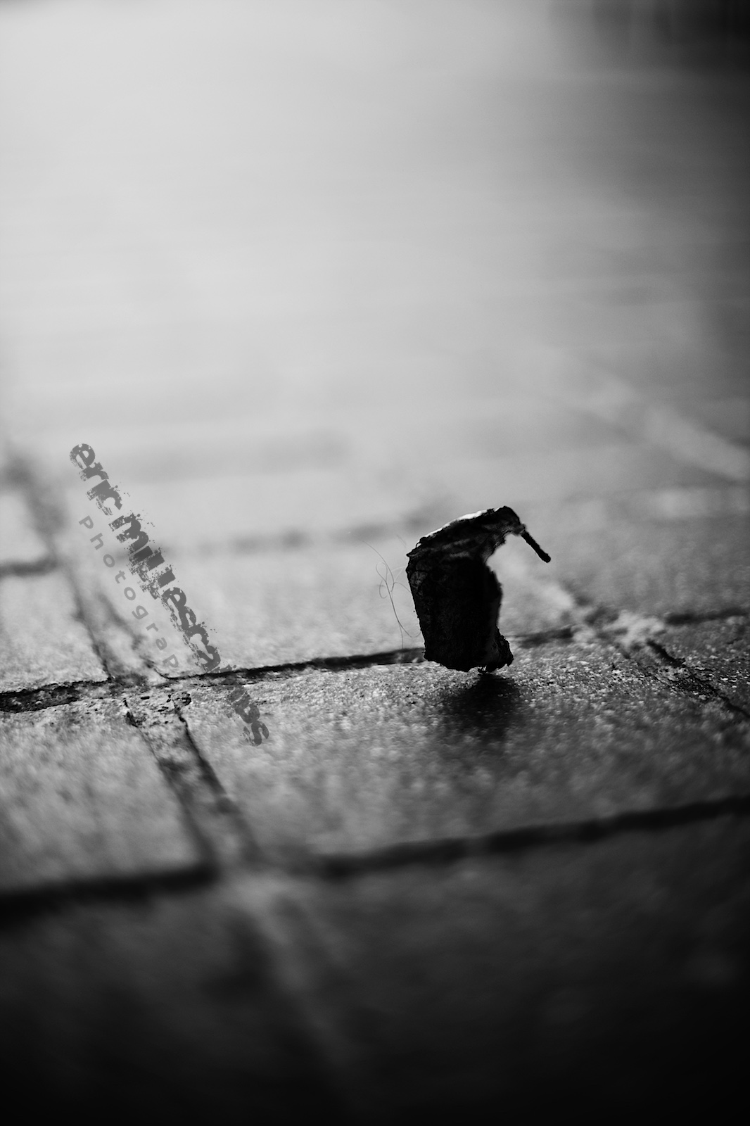 Contrejour Ricky38160